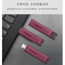 金士顿（Kingston）256GB USB3.2 大容量固态U盘 DTMAXA 读速高达1000MB/s 写速900MB/s 学习办公投标电脑通用