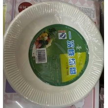国产 一次性餐盘