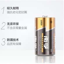 南孚 电池 1# LR20
