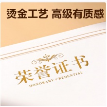 得力（deli）荣誉证书竖式内芯内页 结业证书奖状内芯 学校企业褒奖证书纸 A4纸张米白内页 50张BR800